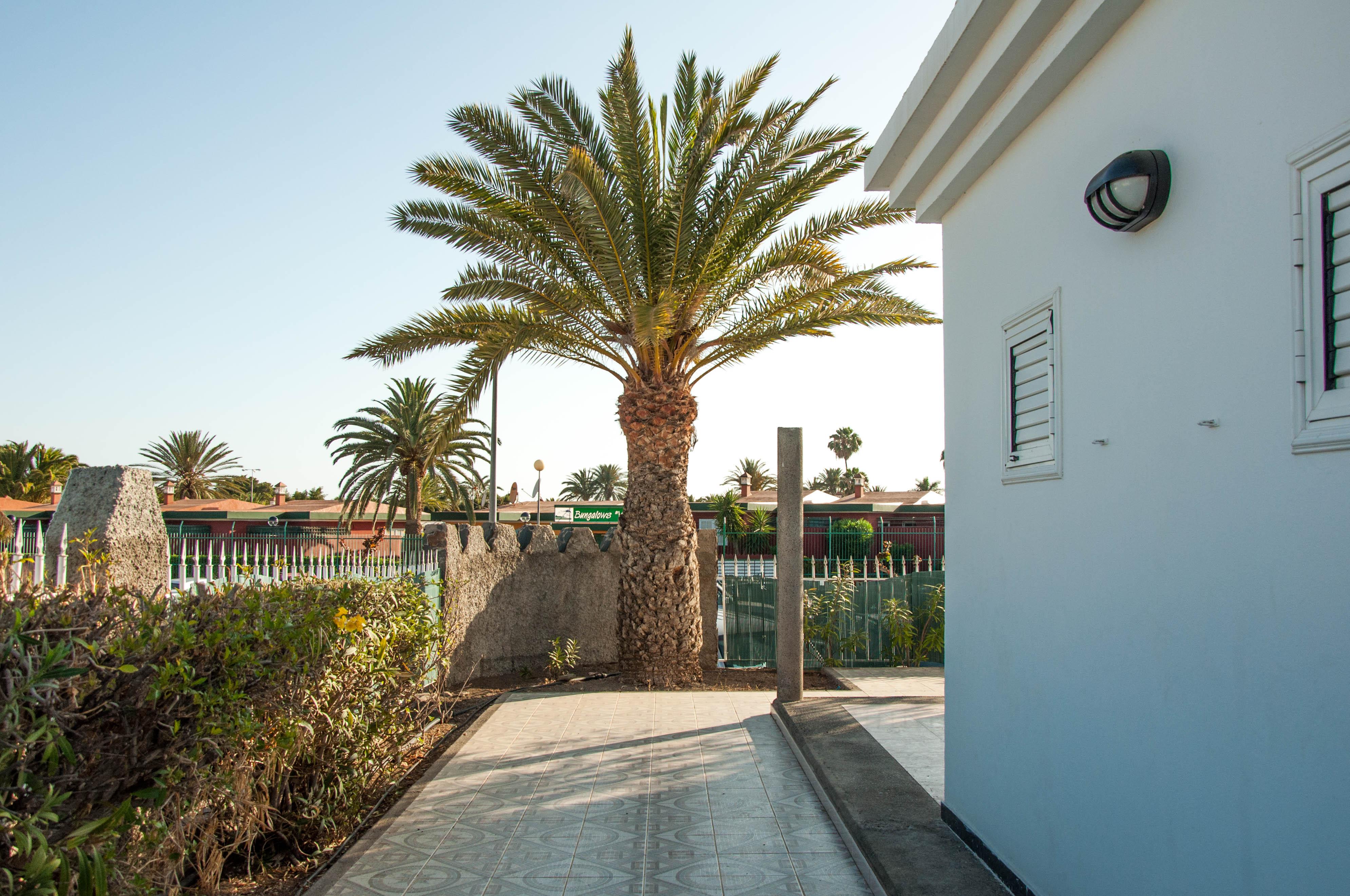 מספאלומס Bungalows Las Almenas מראה חיצוני תמונה