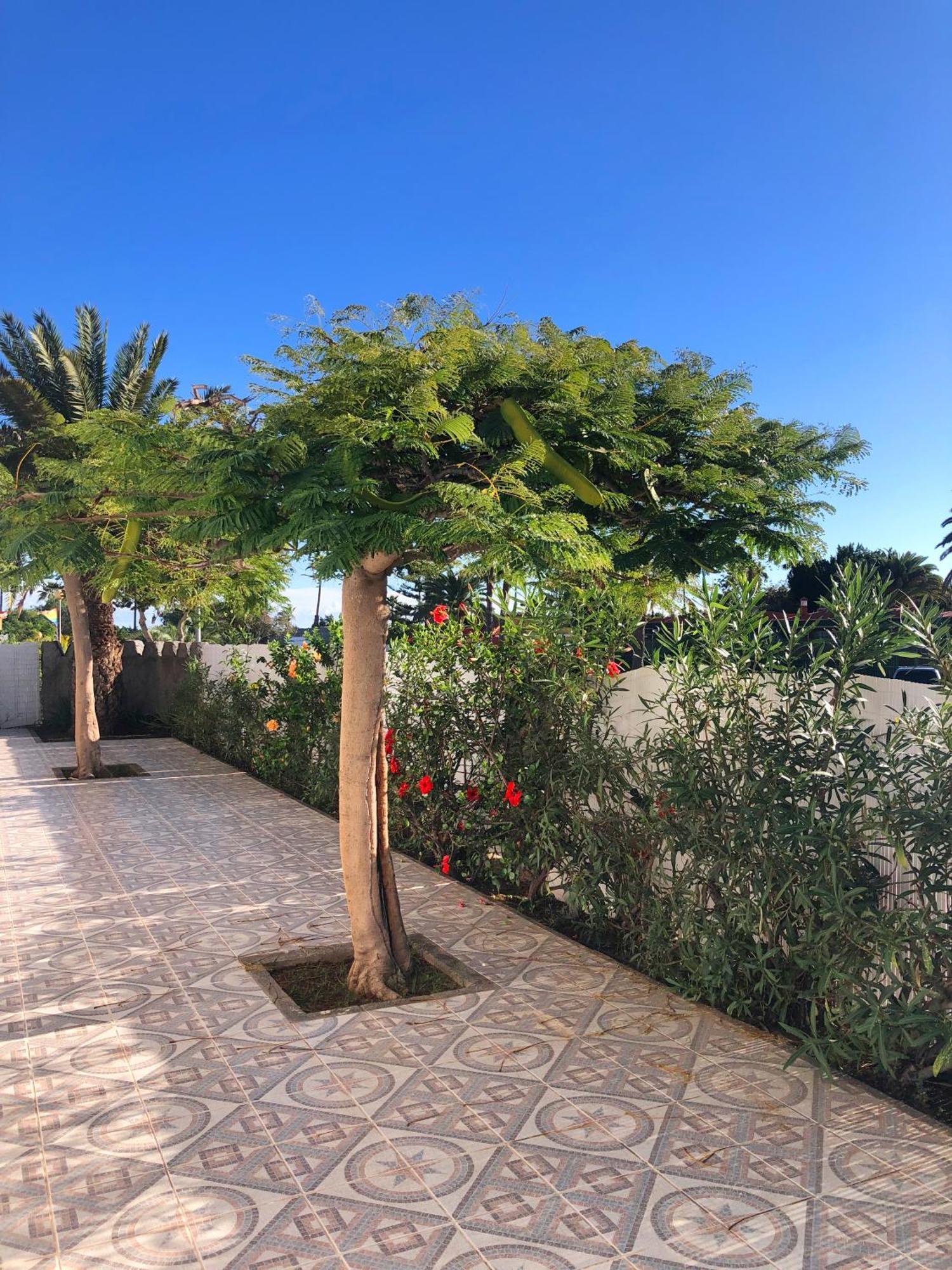 מספאלומס Bungalows Las Almenas מראה חיצוני תמונה