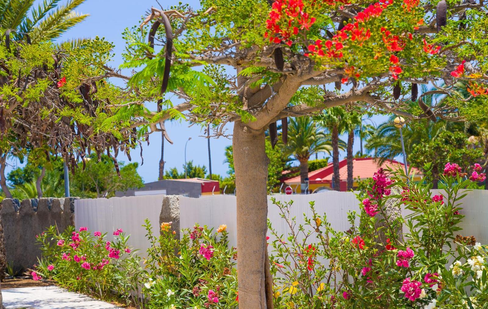 מספאלומס Bungalows Las Almenas מראה חיצוני תמונה