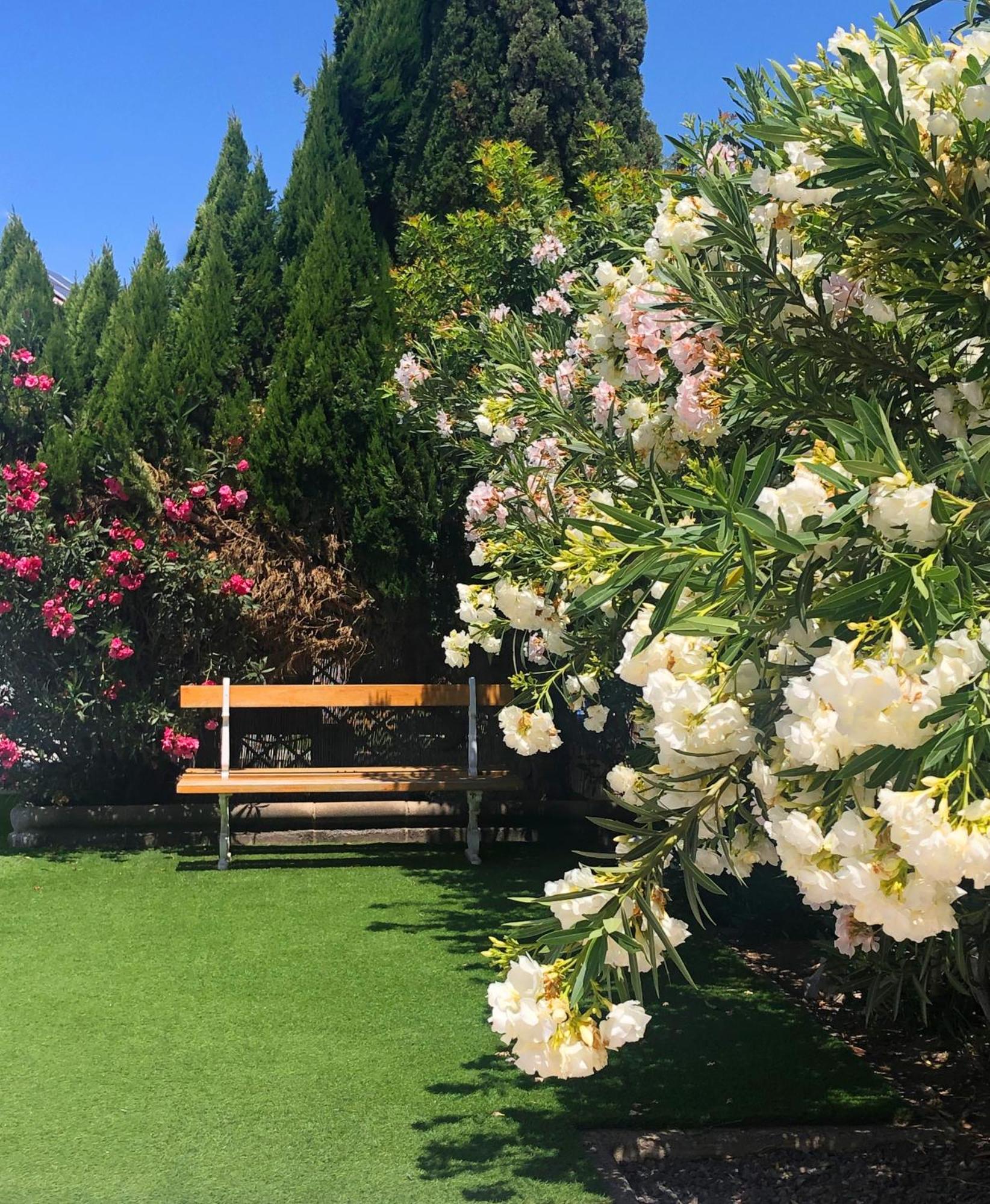מספאלומס Bungalows Las Almenas מראה חיצוני תמונה